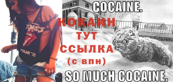 дживик Малоархангельск
